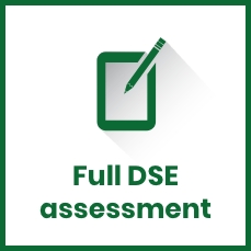 dse assessment